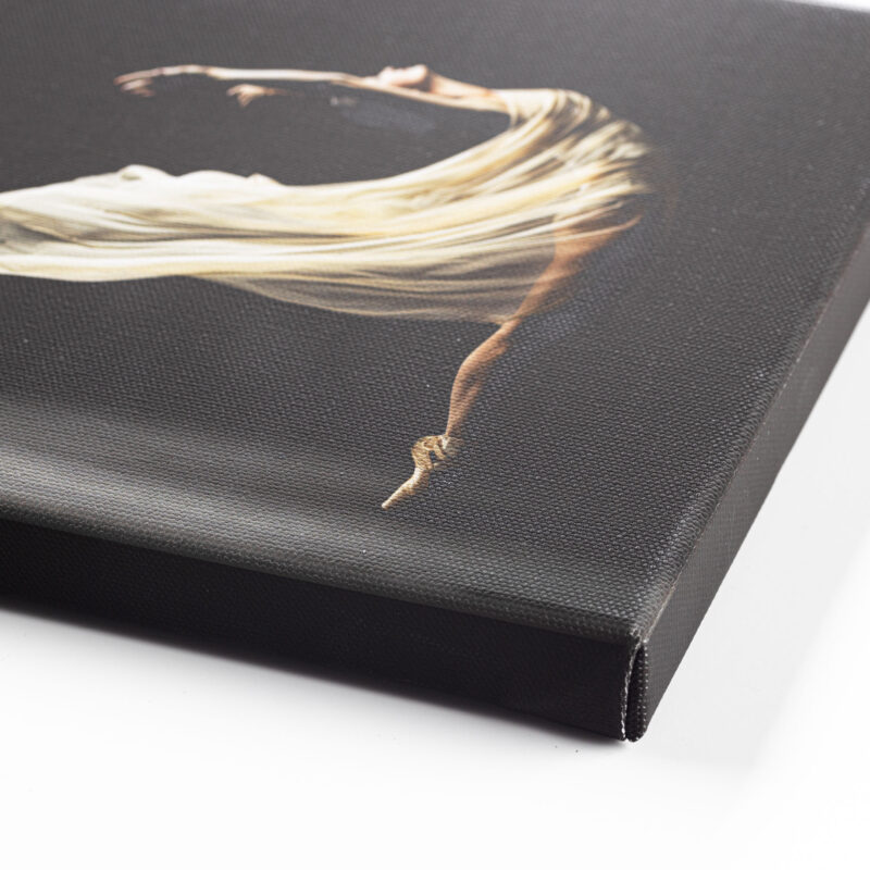 Canson Infinity Photoart Procanvas matte