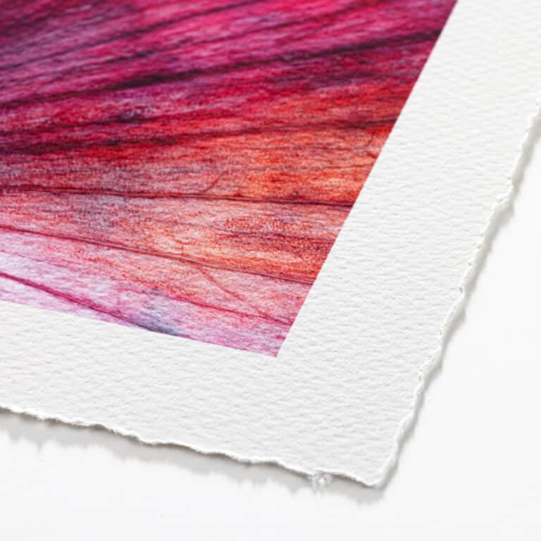 Canson Infinity Somerset Watercolour Rag (print-on-demand)