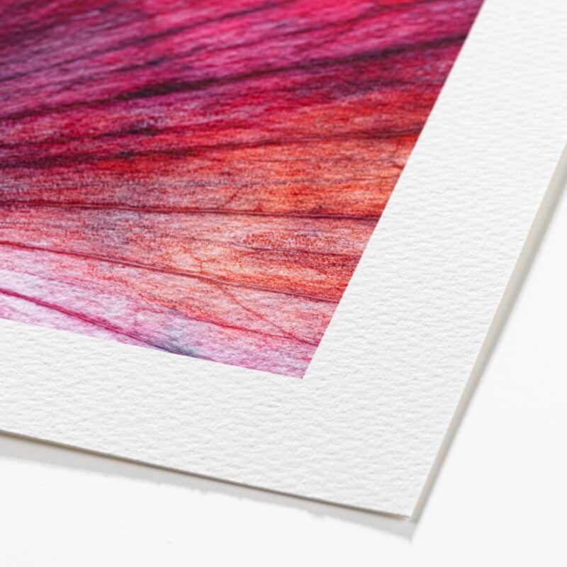 Canson Infinity Somerset Watercolour Rag (print-on-demand)