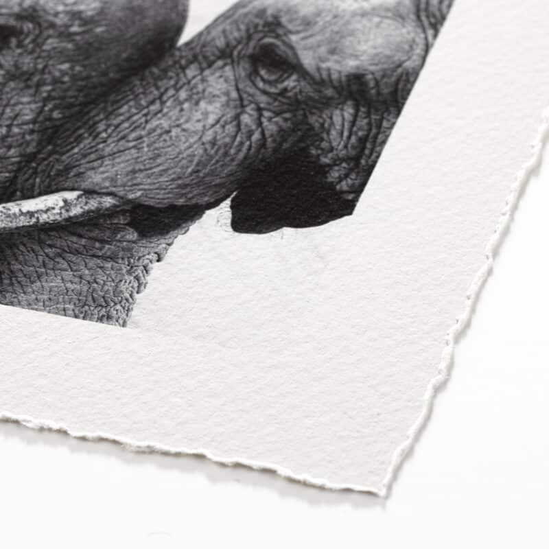 Epson Fine Art Cotton Textured Natural (print-on-demand) - Image 2