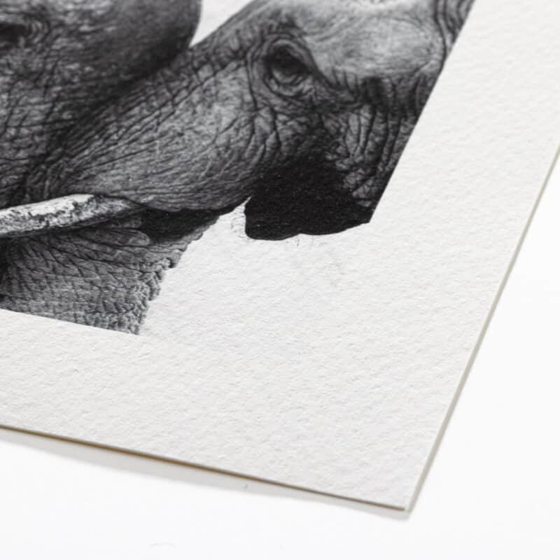 Epson Fine Art Cotton Textured Natural (print-on-demand)