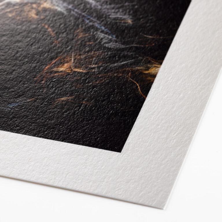 Hahnemühle Photo Rag Metallic (print-on-demand) - deckled edge