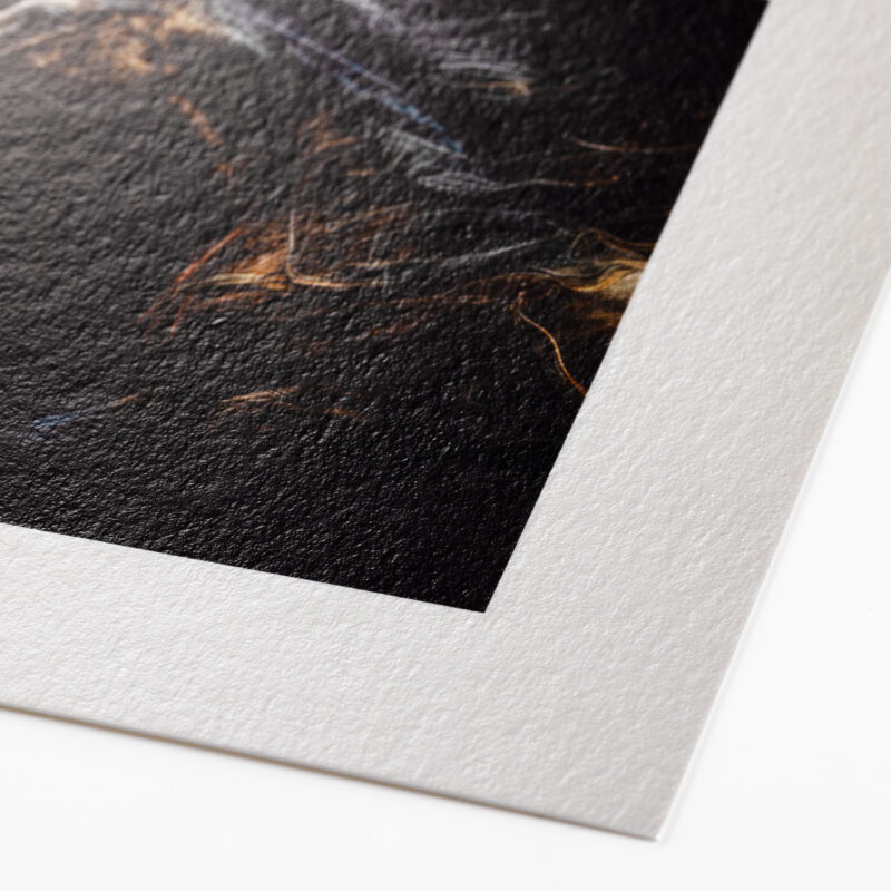 Hahnemühle Photo Rag Metallic (print-on-demand) - deckled edge