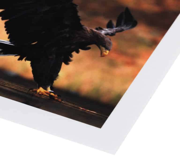 Hahnemühle Photo Rag 308 gsm