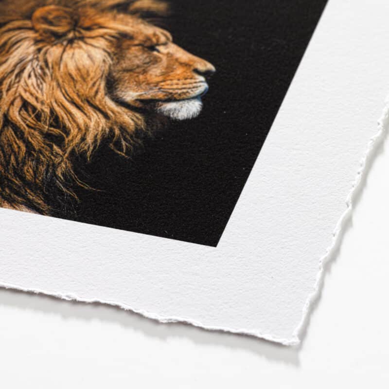 Hahnemühle Photo Rag 308 gsm (print-on-demand) - deckled edge