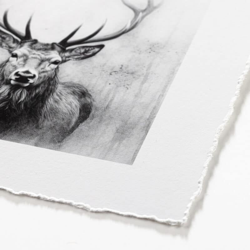 Canson Infinity Arches 88 (print-on-demand) - deckled edge