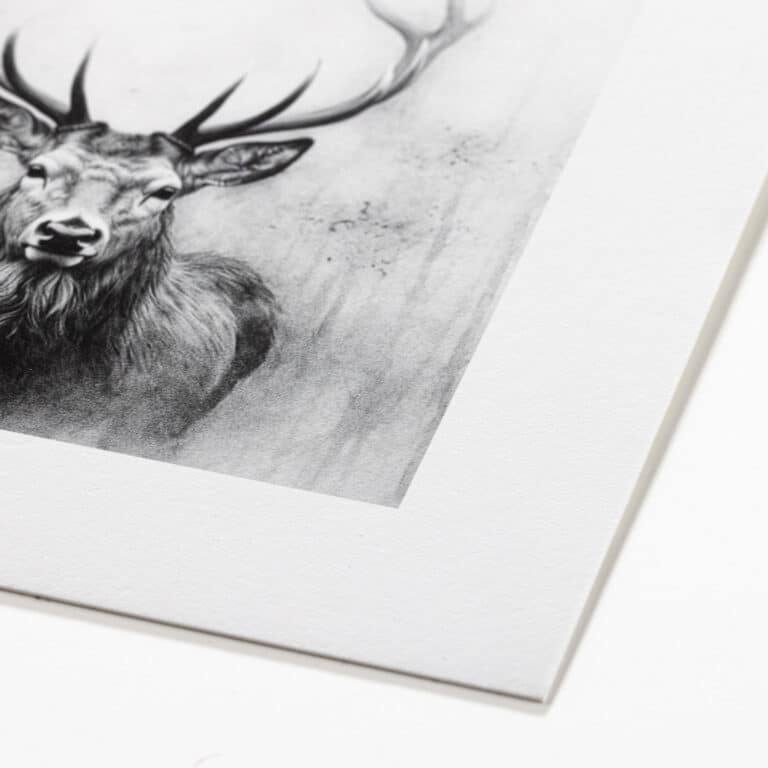 Canson Infinity Arches 88 (print-on-demand)