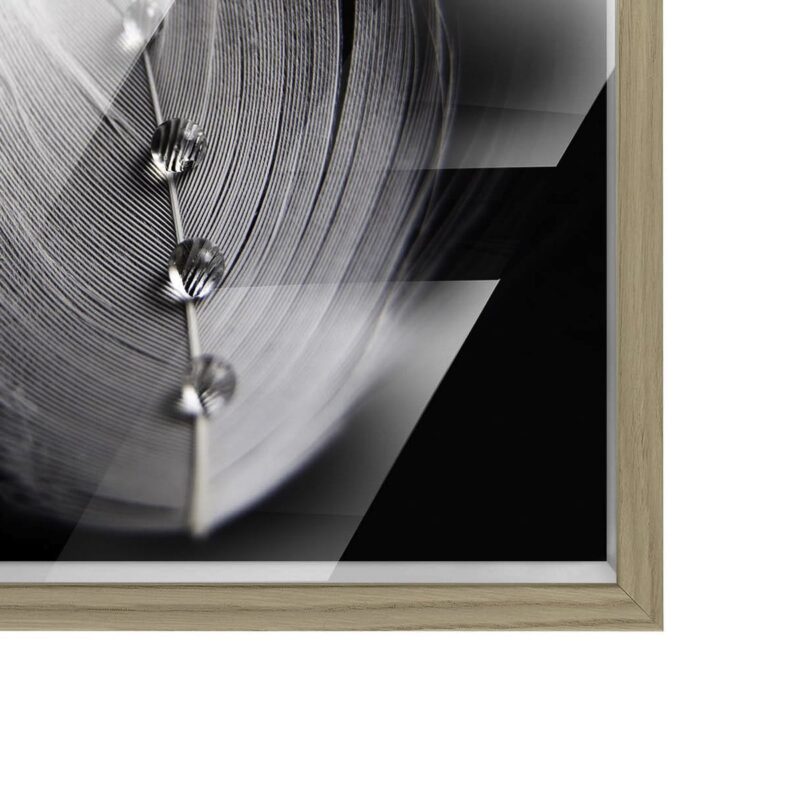 Hahnemühle Bamboo Gloss Baryta (print-on-demand) - Image 5