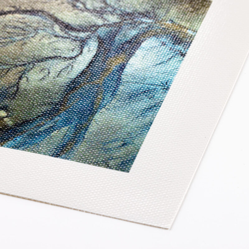 Canson Infinity PhotoArt ProCanvas Lustre