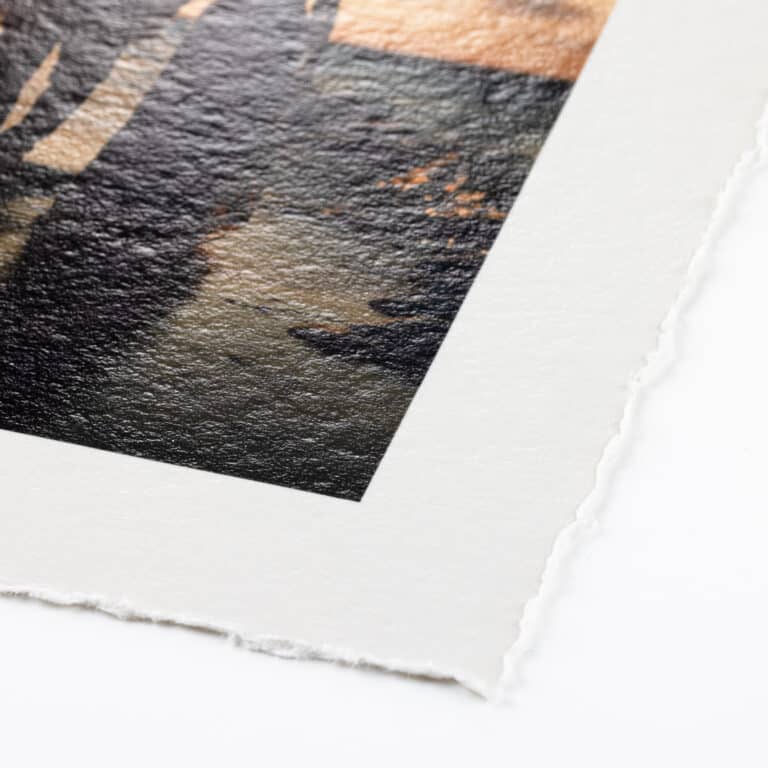Hahnemuhle Bamboo Gloss Baryta (print-on-demand)
