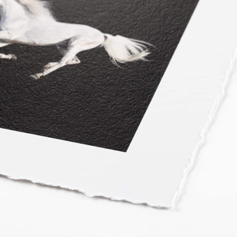 Hahnemühle Photo Rag Satin (print-on-demand) - deckled edge