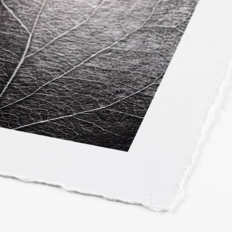 Hahnemühle FineArt Baryta (print-on-demand)