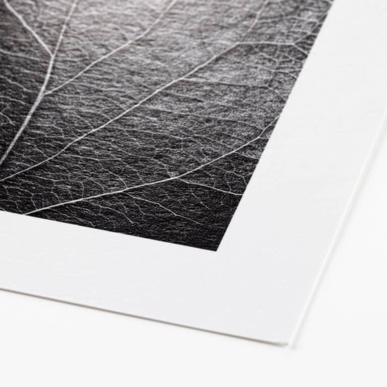 Hahnemühle FineArt Baryta (print-on-demand)