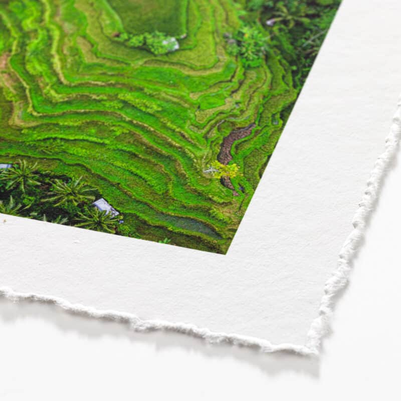 Hahnemuhle Fineart Agave (print-on-demand) - deckled edge