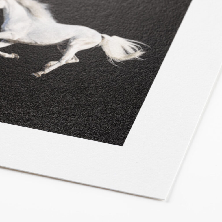 Hahnemuhle Photo Rag Satin