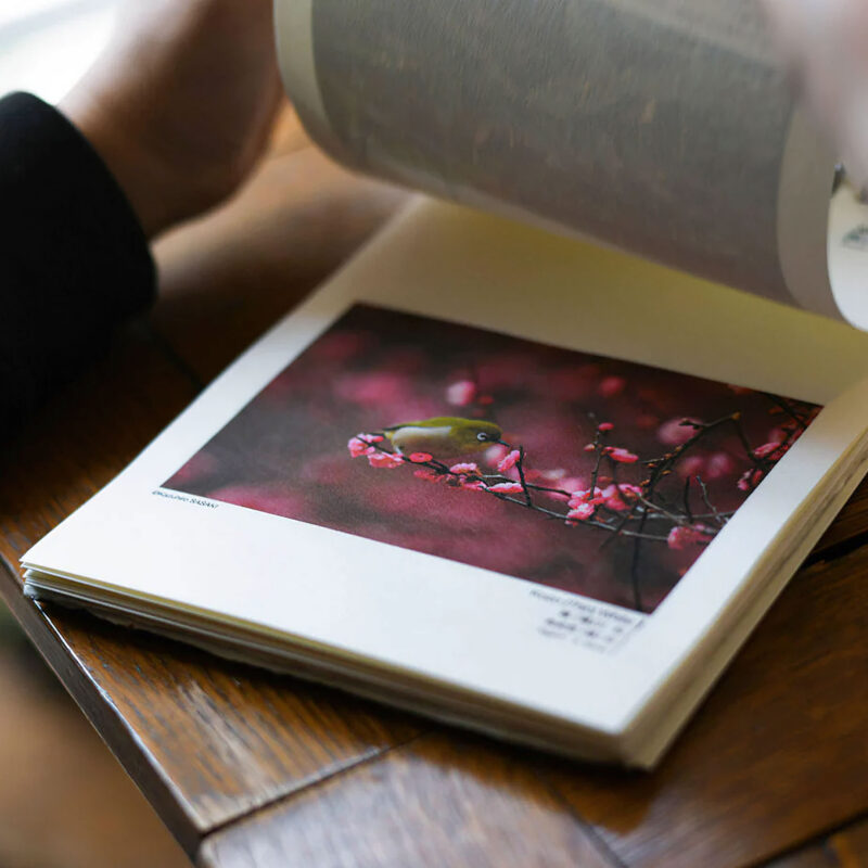Awagami Sample Book